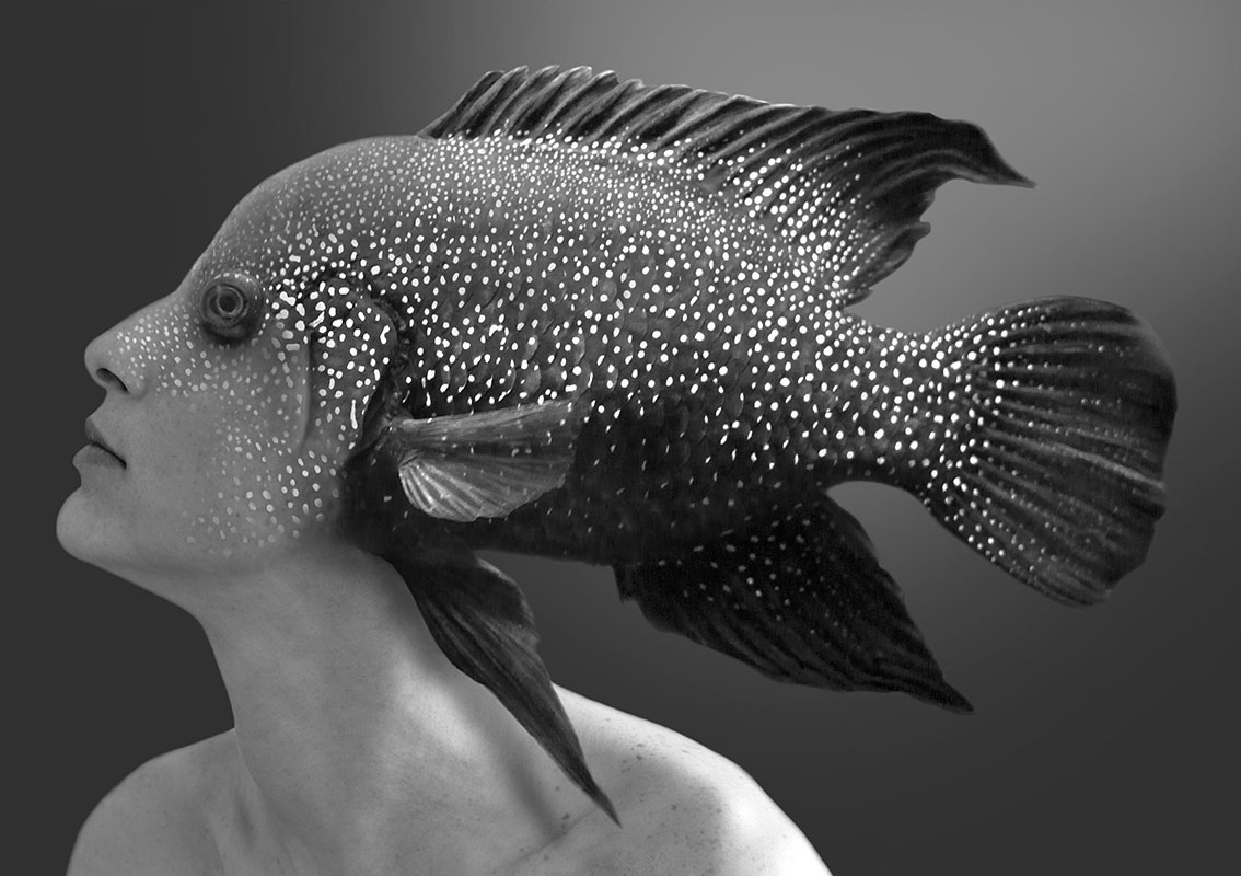 'The Self and the Fish' 04 Photographic collage by Sara Ferrer