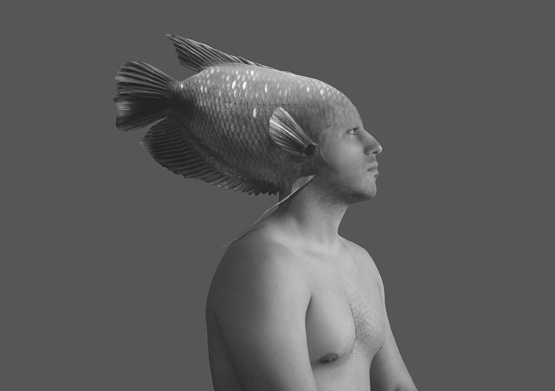 'The Self and the Fish' 05 Photographic collage by Sara Ferrer