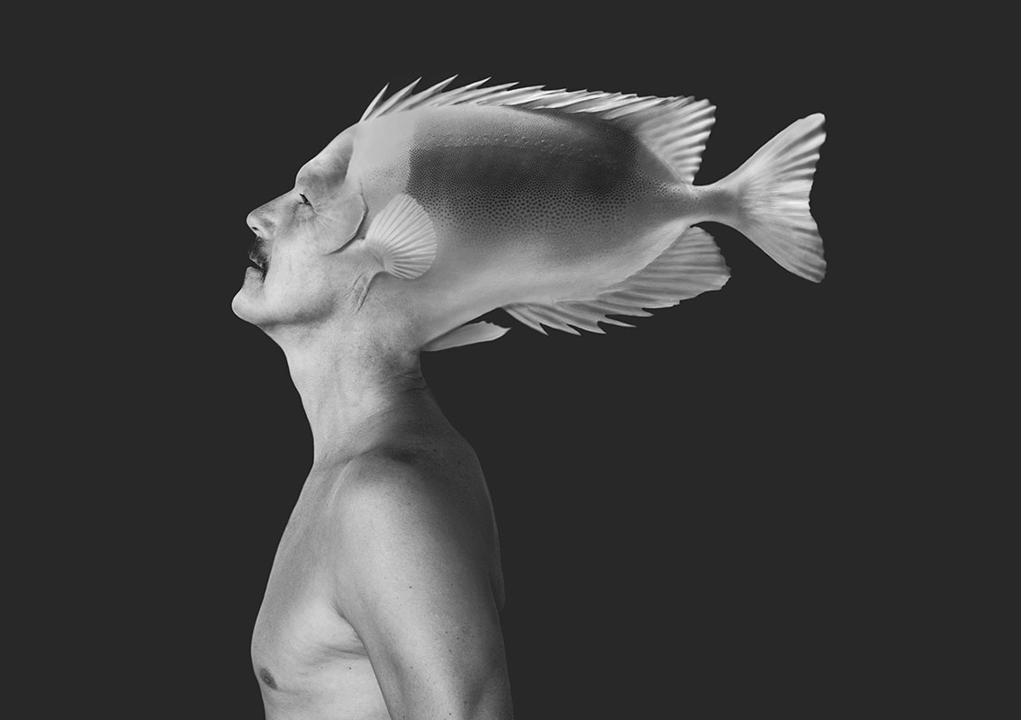 'The Self and the Fish' 06 Photographic collage by Sara Ferrer