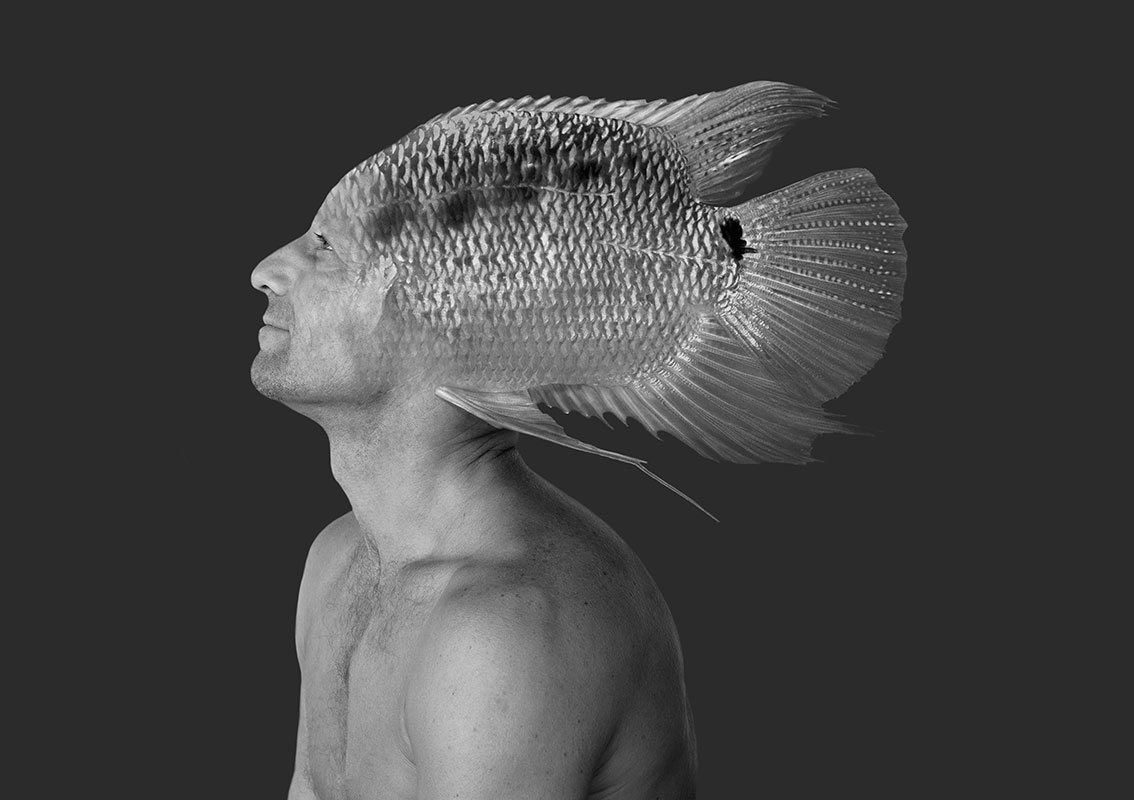 'The Self and the Fish' 07 Photographic collage by Sara Ferrer