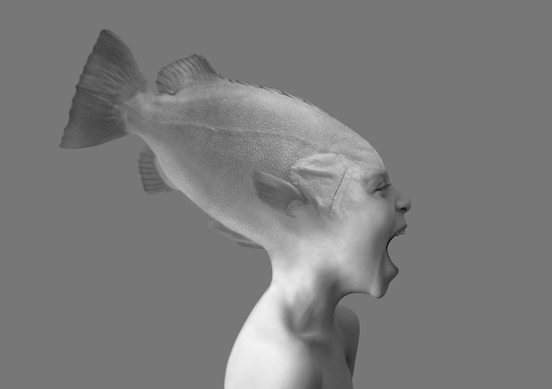 'The Self and the Fish' 09 Photographic collage by Sara Ferrer