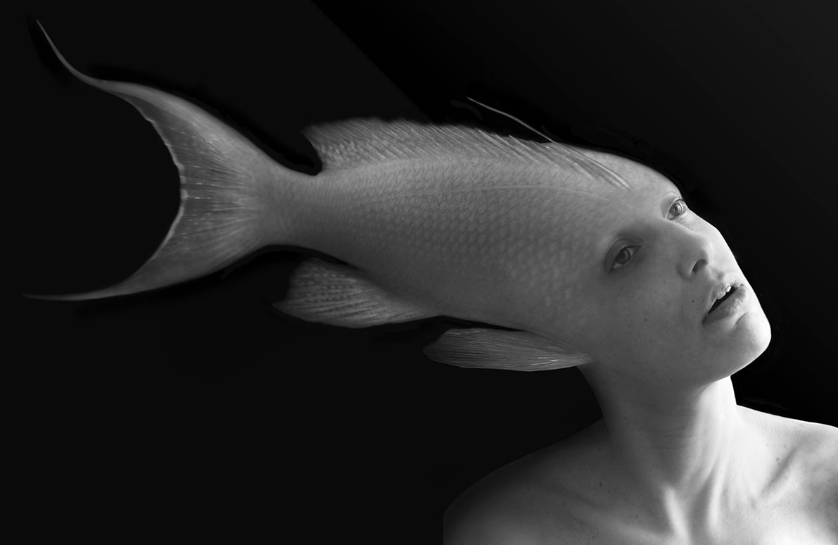'The Self and the Fish' 10 Photographic collage by Sara Ferrer